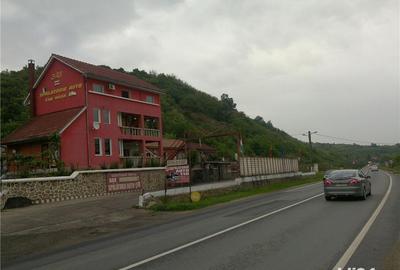 Teren de 46000 mp, în Radna - 1