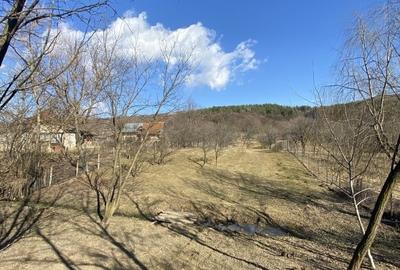 Teren Valcanesti între Comarnic și Valenii de Munte - 15
