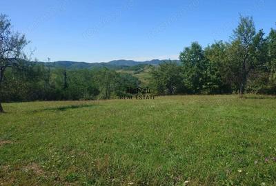 Teren de 8757 mp, în Luncoiu de Sus - 13