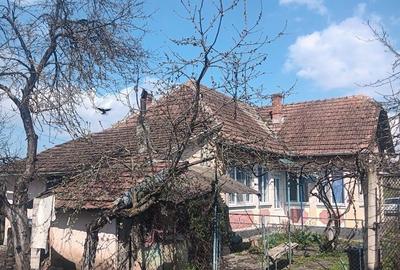 Casă cu 4 camere în Lunca Mureșului - 8