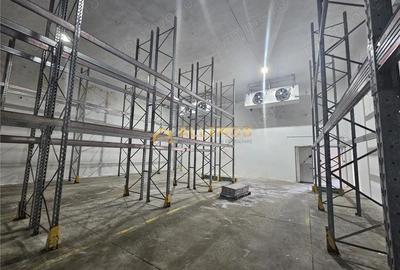 Spațiu comercial, de 420 mp, în Nord - 11