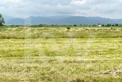 Casa 4 cam.+ teren de vanzare in Cartierul Turnisor, Zona Exclusivista - 6