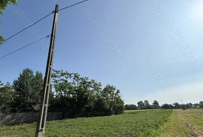 Teren de 5000 mp, în Fusea - 3