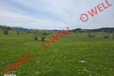 Teren de 6519 mp, în Barcani - 8