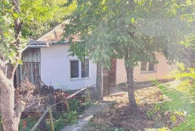 Casă cu 2 camere în Central