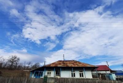 Casă cu 2 camere cu Teren 1628 Mp în Dănești