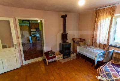 Casă cu 3 camere cu Teren 4000 Mp în Rovina (Brănișca) - 12