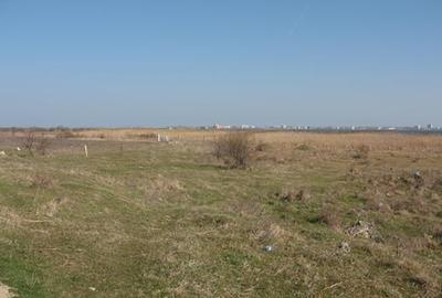 Teren 135.403 mp – peninsulă pe malul Lacului Siutghiol, Ovidiu / Mamaia Sat Teren 135.403 mp – peninsulă pe malul Lacului Siutghiol, Ovidiu / Mamaia Sat - 5