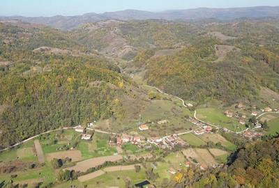 Teren de 19000 mp, în Brădățel - 1
