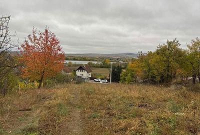 Teren de 3486 mp, în Podgoria - 1