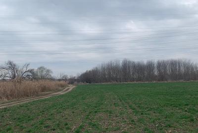 Vanzare Teren extravilan Afumati Autostrada A0 - 4