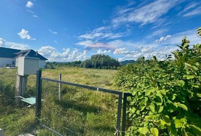 Teren intravilan de vanzare in Busag, ideal pentru casa ta!