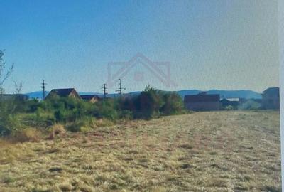 TEREN INTRAVILAN - STRADA AEROPORTULUI\ CARANSEBE?\JUD.C... - 7