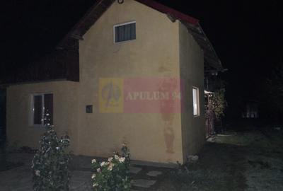 BARCANESTI - casa +curte+teren 16k mp - 1