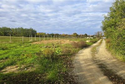 Teren Construcții intravilan de 657 mp, în Nord - 10