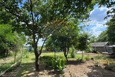 De vanzare casa cu curte generoasa - Fierbinti Targ, Ialomita - 2