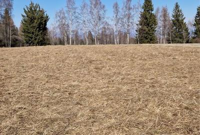 Teren de 1000 mp, în Râșca - 2