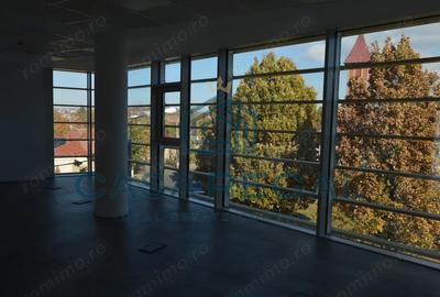 Spațiu comercial, de 160 mp, în Cantemir - 20