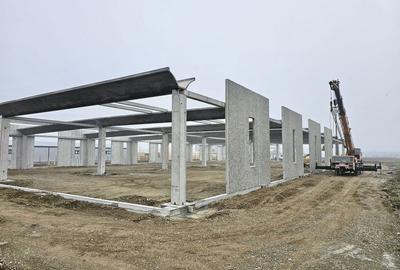 Vanzare hale/depozite/productie -industrial-Chitila - Rudeni, ILFOV - 10