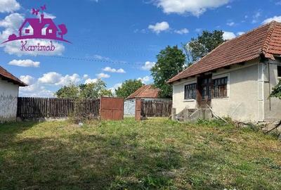 Casă cu 2 camere cu Teren 3208 Mp în Cărăndeni - 3