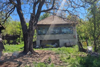 Casă cu 3 camere în Ilva Mică - 4
