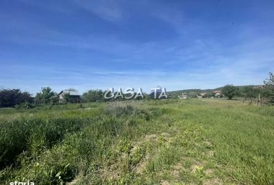 Spațiu comercial, în Șișești - 5