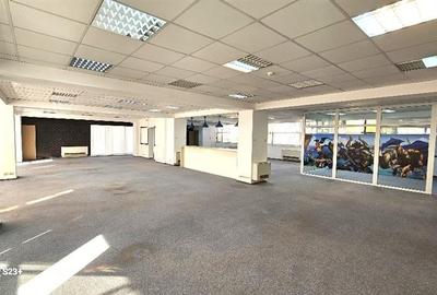 Birou, de 210 mp, în P-ta Presei Libere - 4