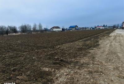 Spațiu comercial, în Sărata - 9