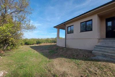 Casa com. Izvor, sat Cornetu - 6