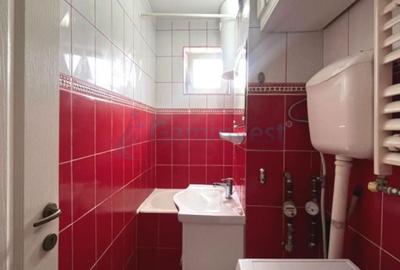 Apartament cu 2 camere, mobilat în Nufărul - 9