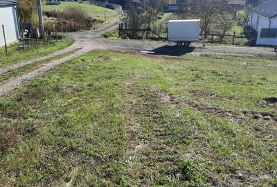 Teren de 20000 mp, în Sânișor - 3