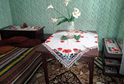 Casă cu 3 camere în Beiu - 3