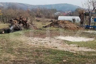 Teren de 3360 mp, în Aninoasa - 3