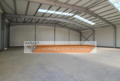 Hala Industriala, depozit, Bradu, DN 65B, S=585 mp, H=6 m - 4