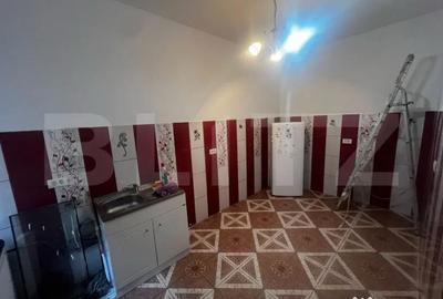 Apartament cu 2 camere semidecomandat în Traian - 5