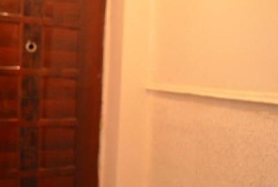 Apartament cu doua camere - 7