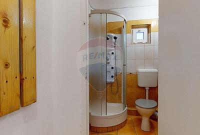 Spațiu comercial, de 37.400001525879 mp, în Astra - 8