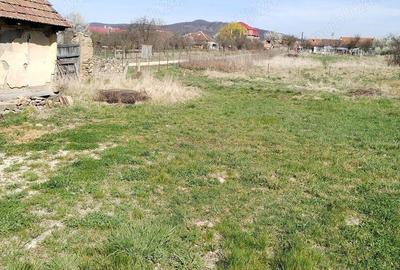Casă cu Teren 1300 Mp în Central - 1