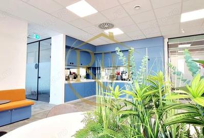 Birouri premium all-inclusive in VOX Technology Park - 2