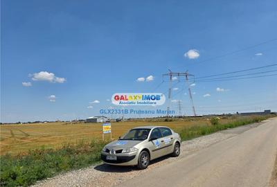 Teren de 5000 mp, în Clinceni