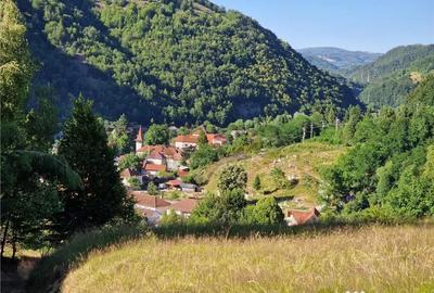 Teren de 31258 mp, în Remeți - 8