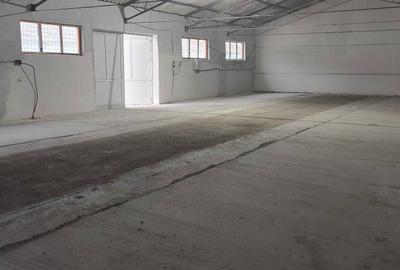 Casă cu 2 camere cu Teren 50 Mp în Curtișoara - 2