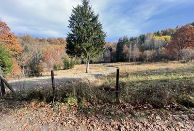 Teren Construcții intravilan de 5268 mp, în Zetea - 1