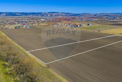 Teren agricol extravilan de 10000 mp, în Bod - 3
