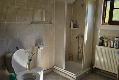 Vand casa vacanta la munte zona Herculane 165 000 - 6