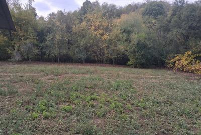 Casa traditionala cu teren generos – Borosteni, Pestisani, jud. Gorj - 2