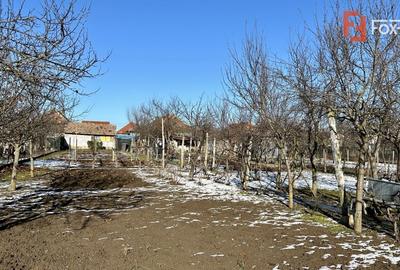 Casa 5 camere + teren 1845 mp Sanandrei - 2