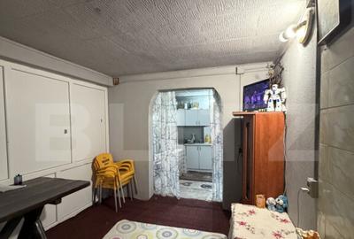 Teren intravilan agricol, sere, anexa agricola, 11500 mp ter - 8