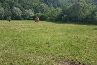 Teren de 7800 mp, în Vața de Jos - 2
