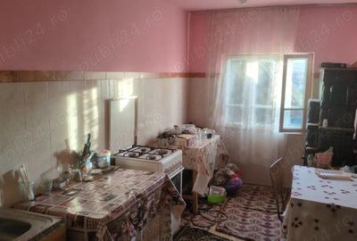 Casă cu Teren 5000 Mp în Roșia de Amaradia - 2